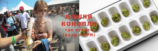 дживик Верхний Тагил