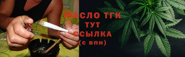 дживик Верхний Тагил
