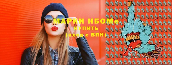 дживик Верхний Тагил
