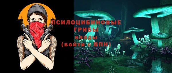 дживик Верхний Тагил